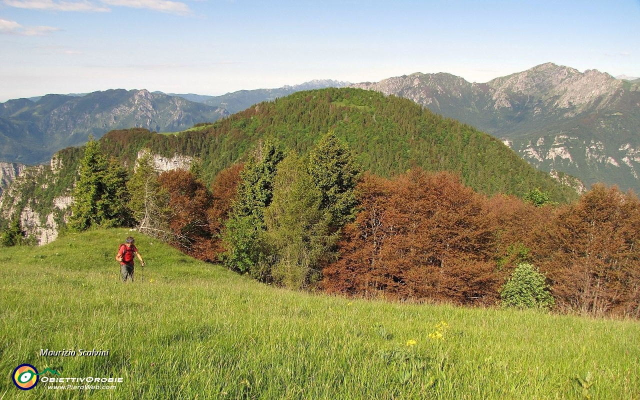 10 Panorama verso l'Ortighera, coi boschi bruciati dal gelo....JPG